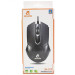 Mouse USB Jeqang JM-029 Black