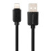 Мережевий зарядний пристрій Gelius Avangard GP-HC06 2USB 2.4A 12W + кабель Lightning Black