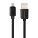 Сетевое зарядное устройство Gelius Avangard GP-HC06 2USB 2.4A 12W + кабель MicroUSB Black