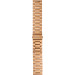 Смарт годинник Gelius Amazwatch GT3 GP-SW010 (Incredible series) Bronze Gold (12 міс)